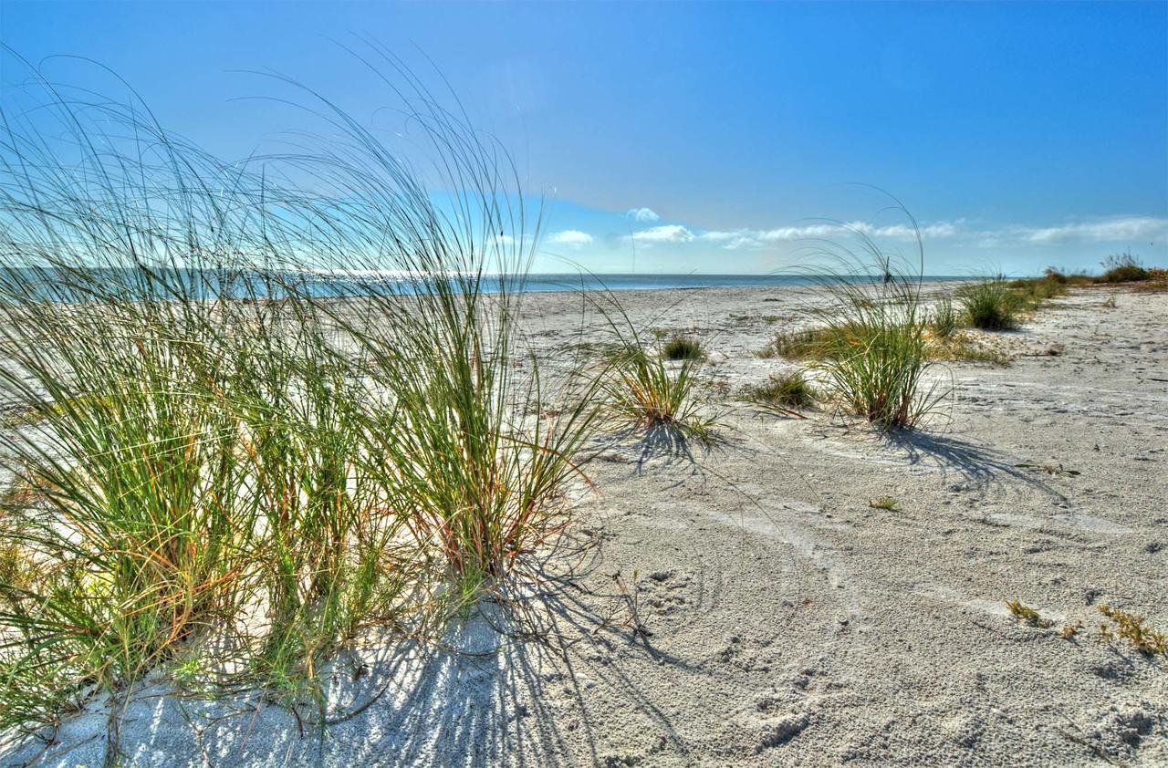 Seahorse Cottages - Adults Only Sanibel Eksteriør bilde